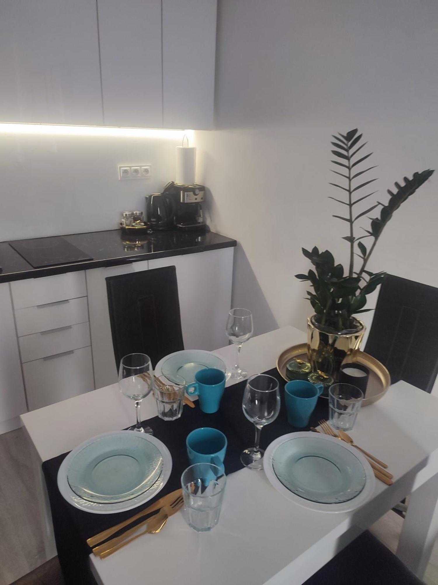 Apartament Lux W Centrum Konina Konin  Luaran gambar
